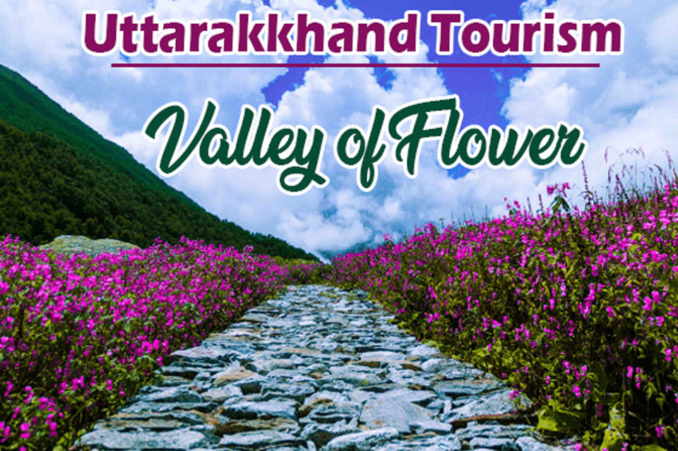 valley pf flower uttarakhand
