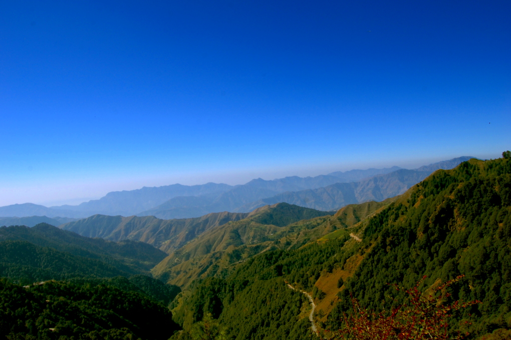 Chopta Campin